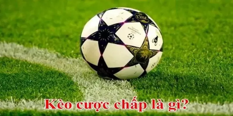 Cá Cược Bóng Đá Cùng NEW88.BLUE Tại Kèo Nhà Cái 3 Kèo cá cược bóng đá